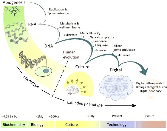 major_evolutionary_transitions_culture_digital1.jpg