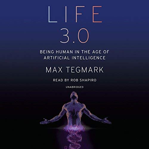 life3tegmark