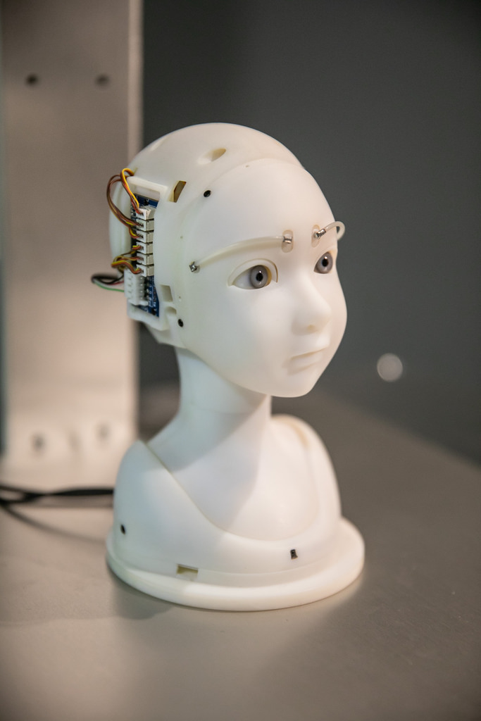 44511426101_0a9623d18f_b